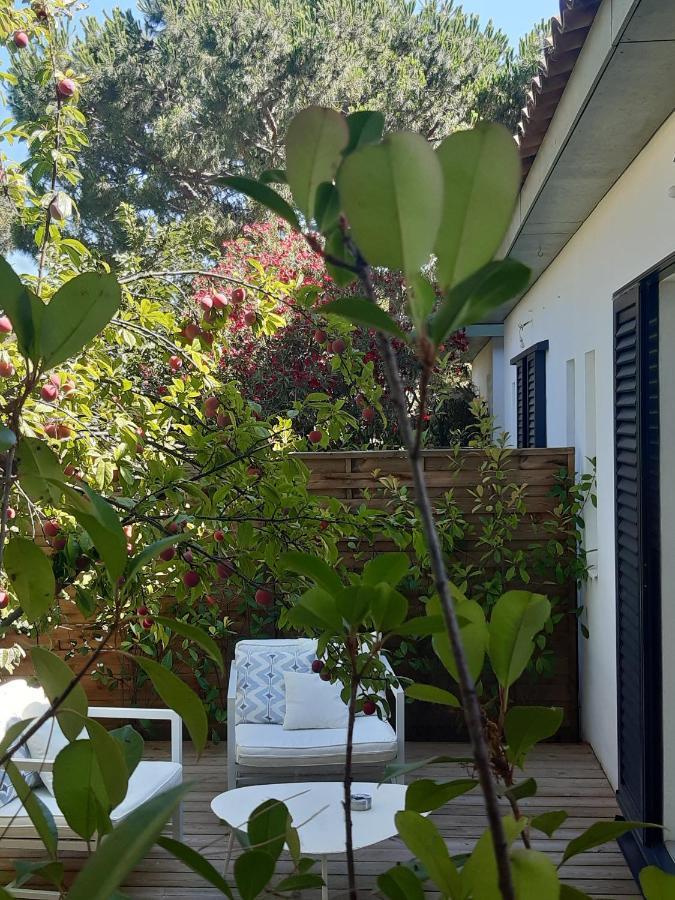 Les Suites D'Agosta Porticcio  Εξωτερικό φωτογραφία