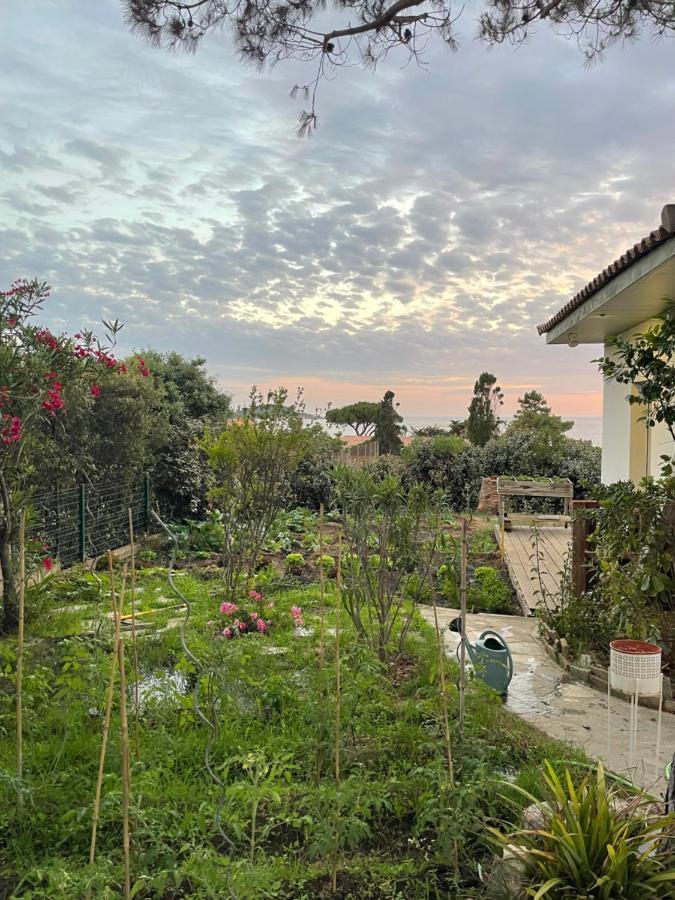 Les Suites D'Agosta Porticcio  Εξωτερικό φωτογραφία
